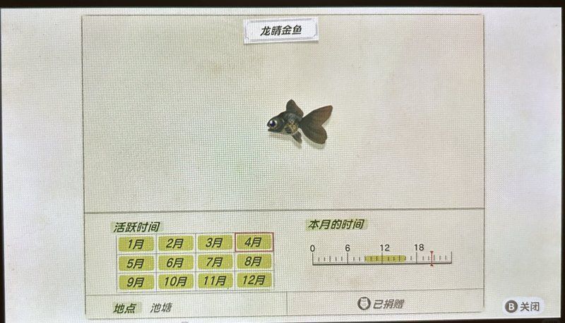 龍睛魚有哪些品種，龍睛魚有哪些品種，龍睛魚有哪些品種龍睛魚品種