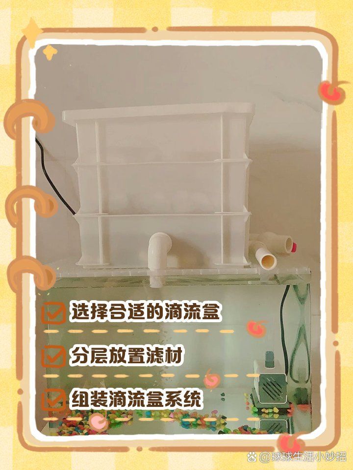 龍魚缸的過濾系統(tǒng)如何安裝？，龍魚缸過濾系統(tǒng)如何安裝