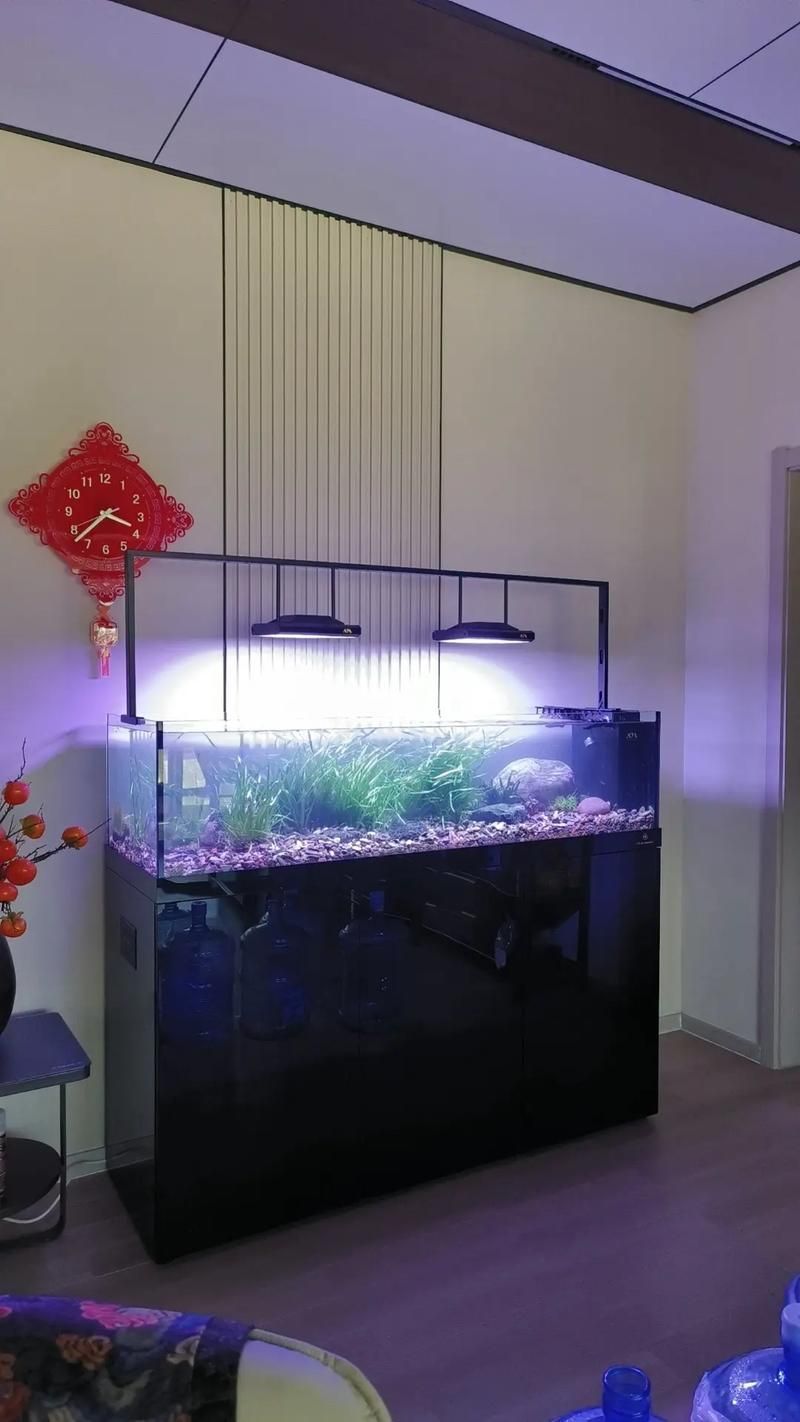 有哪些品牌魚缸值得推薦？，魚缸哪個牌子好？