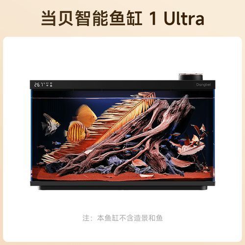 有哪些品牌魚缸值得推薦？，魚缸哪個牌子好？