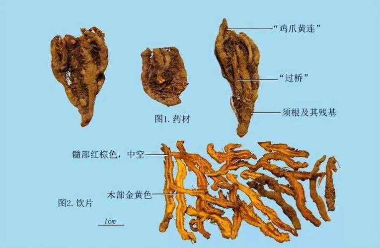 有哪些中草藥可以治療爛尾病，中草藥治療“爛瘡”