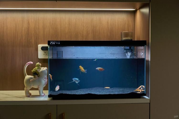 有哪些品牌的魚缸值得推薦？，哪些品牌的魚缸值得推薦