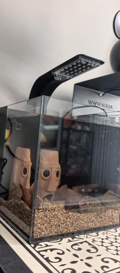 有哪些品牌的魚缸值得推薦？，哪些品牌的魚缸值得推薦