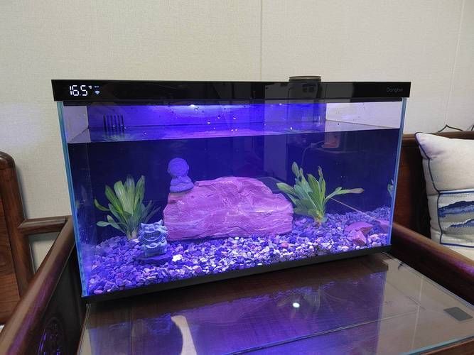 有哪些品牌的魚缸值得推薦？，哪些品牌的魚缸值得推薦
