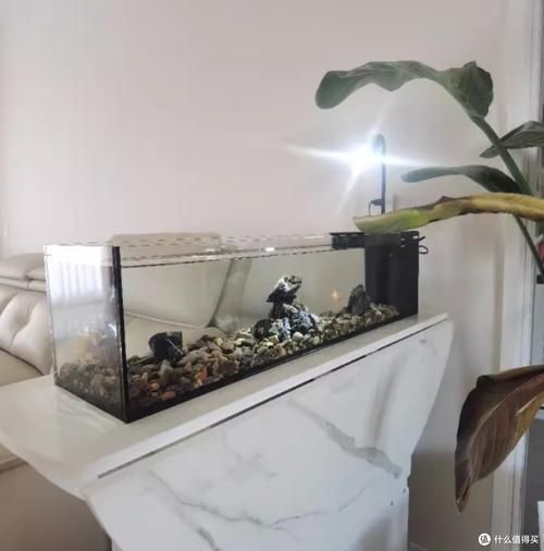 有哪些品牌的魚缸值得推薦？，哪些品牌的魚缸值得推薦