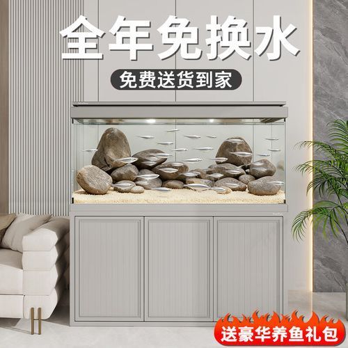 龍魚缸尺寸有哪些推薦品牌，龍魚缸尺寸推薦品牌包括：