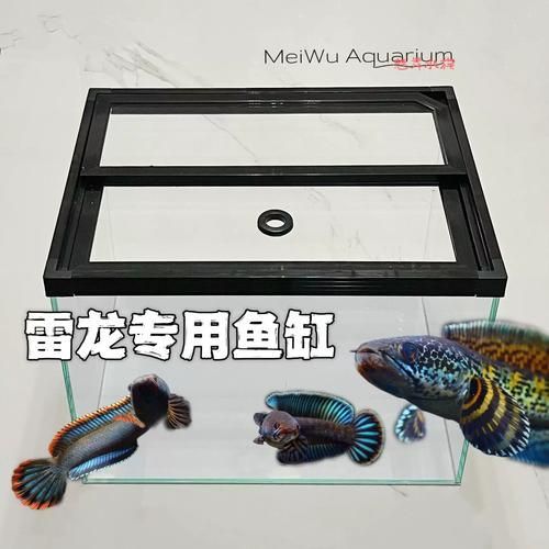 如何判斷一個龍魚專用缸是否優質？，優質龍魚缸專用缸是否優質龍魚專用缸是否優質參數