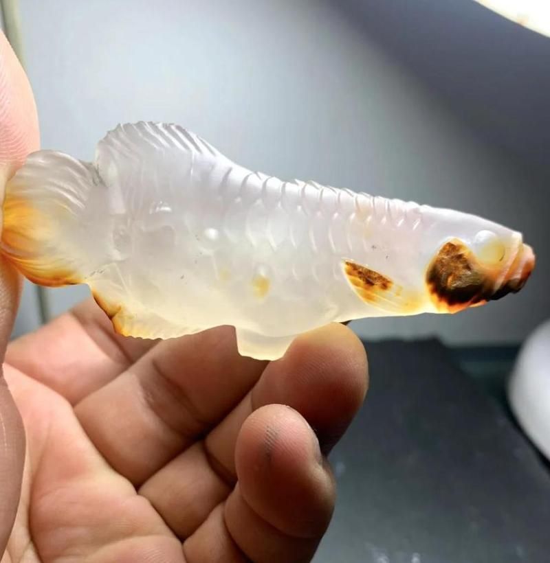 推薦一些雕刻金龍魚的藝術(shù)家，水晶金龍魚雕刻藝術(shù)家金龍魚雕刻作品《招財(cái)金龍魚》