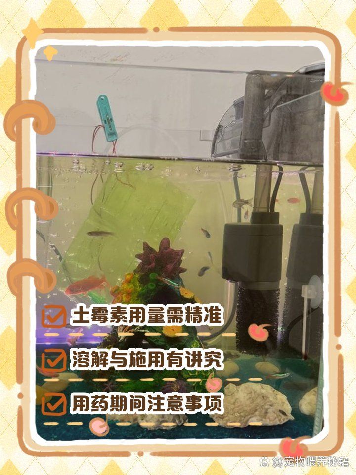 如何正確使用土霉素治療魚病，土霉素對錦鯉有什么用這幾類魚病可以治療