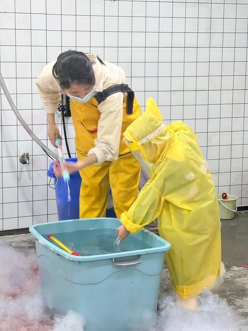如何預(yù)防魚(yú)傷口感染
