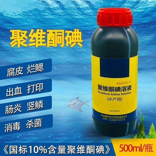 如何預(yù)防魚(yú)傷口感染