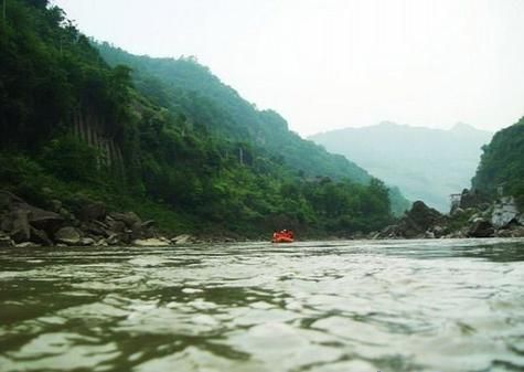 迭部龍魚的市場需求，甘肅迭部龍魚市場需求“迭部龍魚”并非觀賞性龍魚