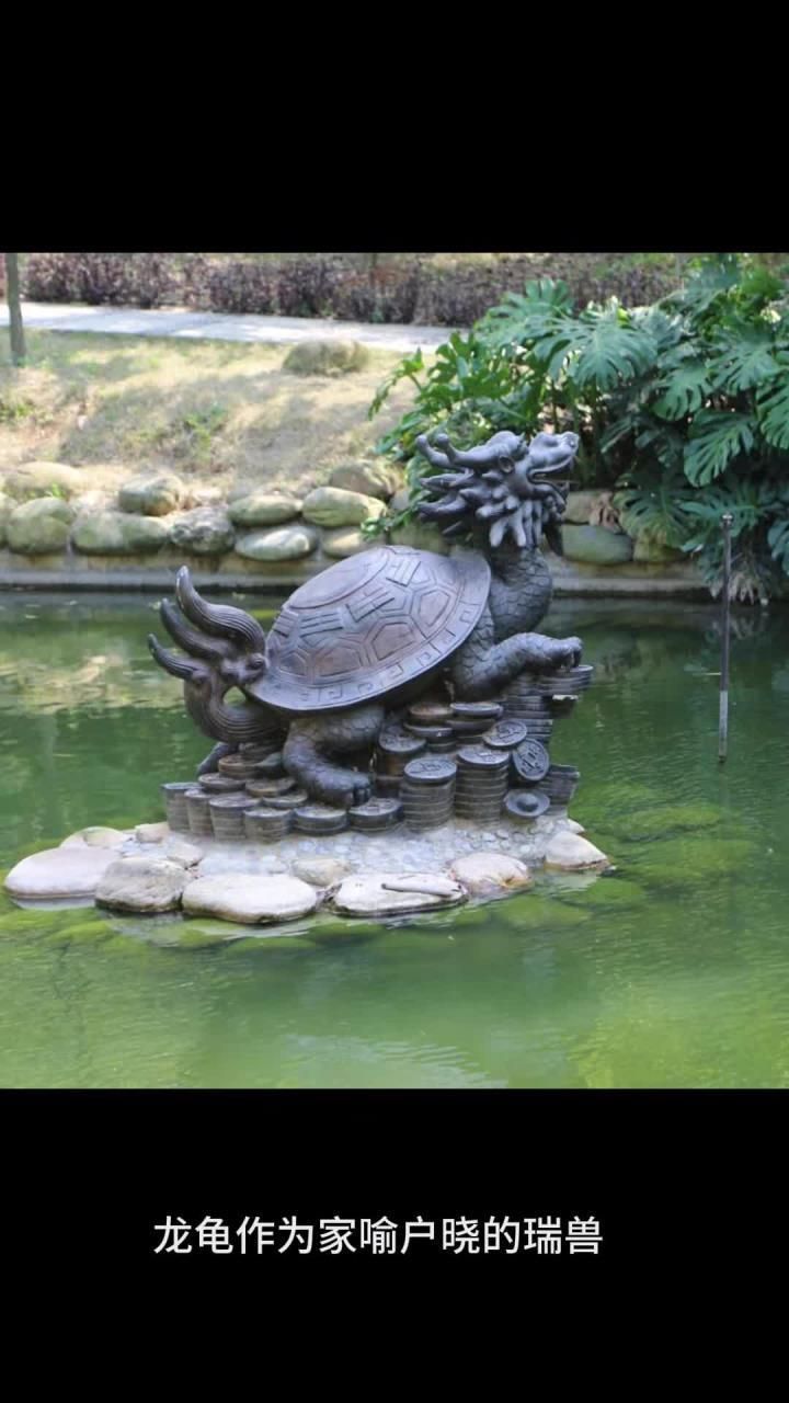 龍龜擺放時需要注意什么，龍龜擺放時需要注意什么,