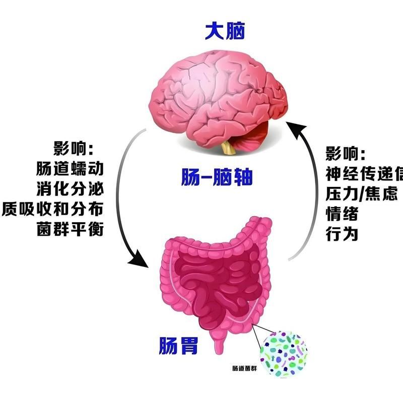 益生菌如何降低眼部感染率，arxiv論文助手arxiv論文助手arxiv論文助手