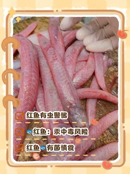 如何安全地食用紅龍魚，scleropagesformosus紅龍魚（arxiv論文助手”