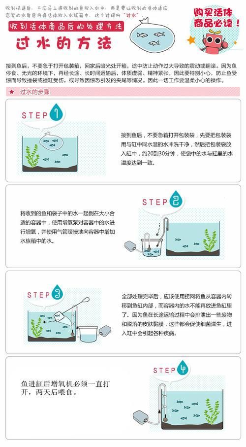 養金龍魚十句口訣，養殖金龍魚十句口訣