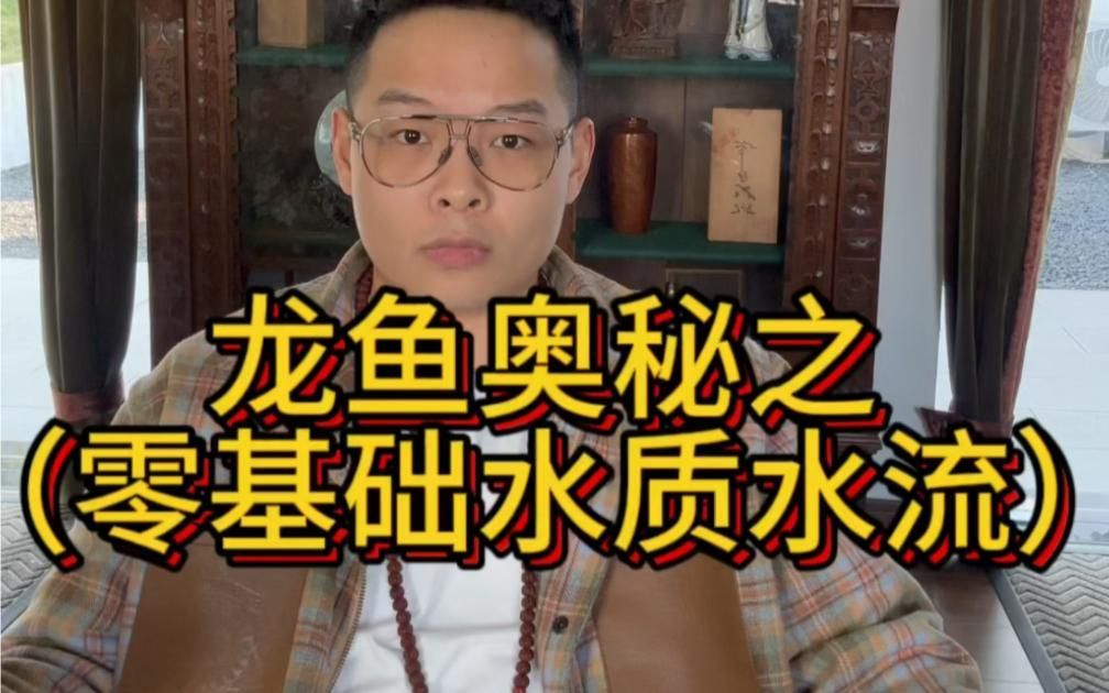 龍魚爛身如何預防，如何預防龍魚爛身