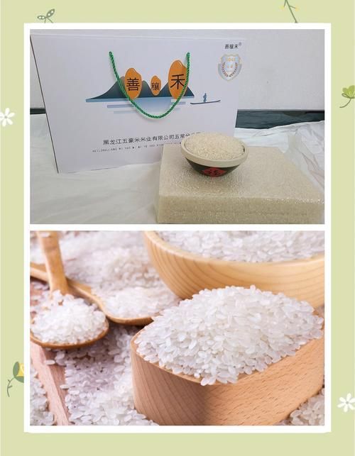 善穰禾和鄰家飯香哪個更高端？