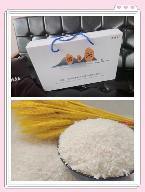 善穰禾和鄰家飯香哪個更高端？