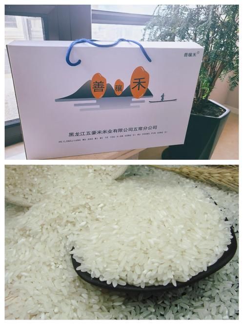 善穰禾和鄰家飯香哪個更高端？