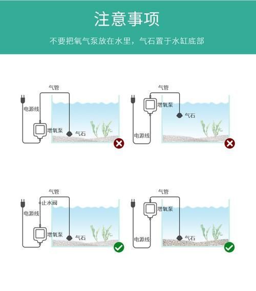 如何預防金魚爛尾巴，關于金魚爛尾巴的一些建議