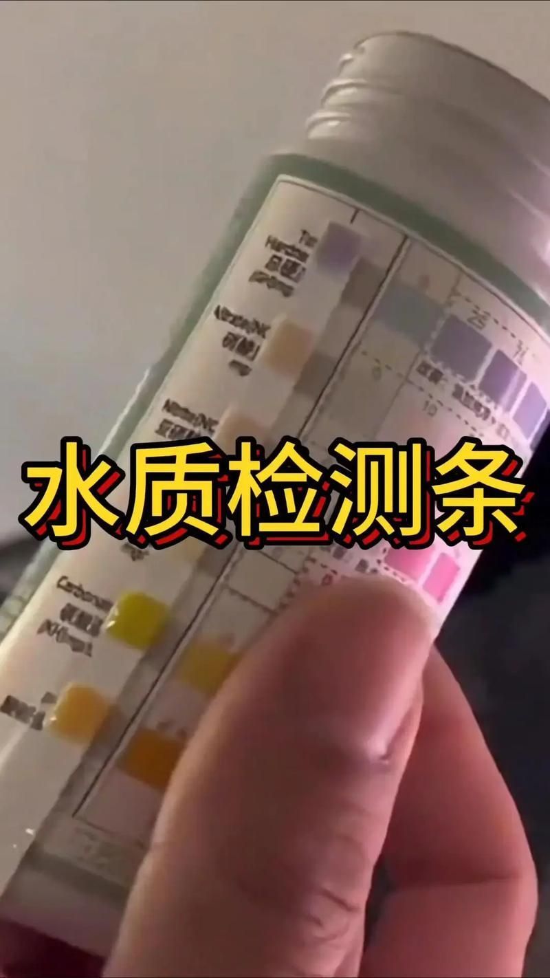 如何預防金魚爛尾巴，關于金魚爛尾巴的一些建議