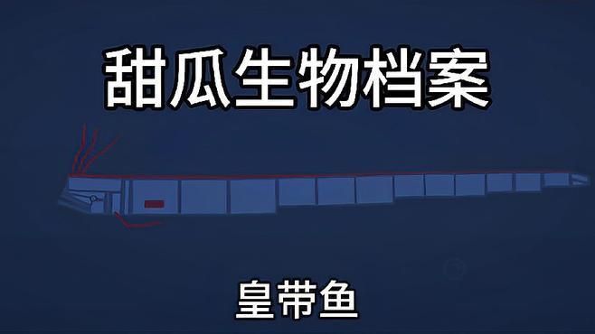 和龍長得像的魚叫什么，和龍長得像的魚叫什么，在探討歐洲魚類的多樣性