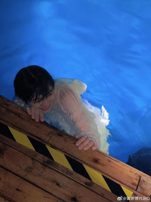 龍魚病死對主人有哪些心理影響？，龍魚病死對主人的心理影響（petlossgriefinornamentalfishowners）
