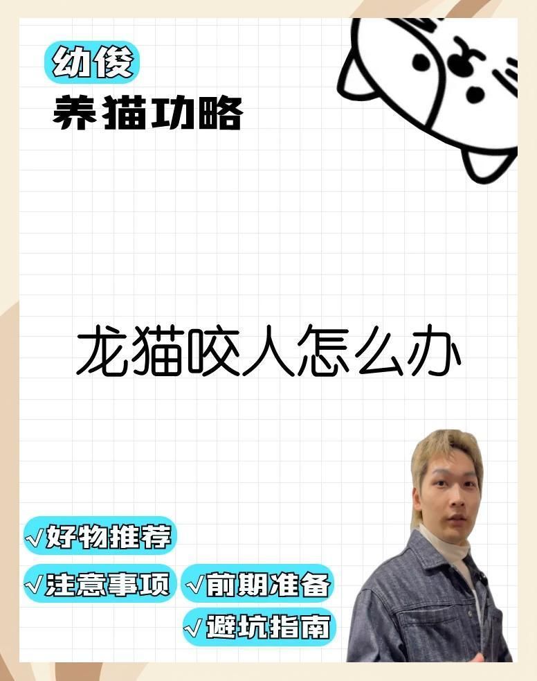 如何預防龍貓再次咬傷，如何預防龍貓咬人