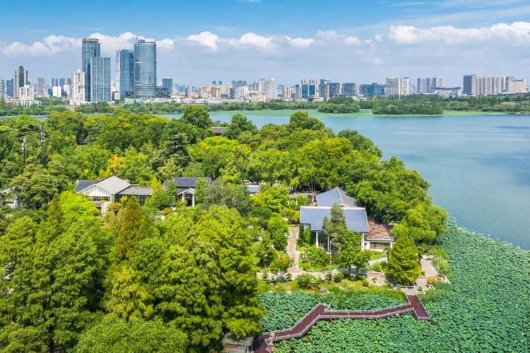 南京有哪些龍魚觀賞場所？，南京有哪些龍魚的觀賞場所？