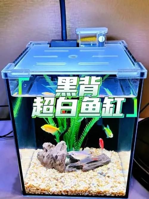 白底黑背景缸有哪些優(yōu)缺點(diǎn)