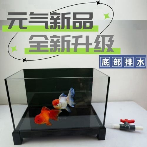 白底黑背景缸有哪些優(yōu)缺點