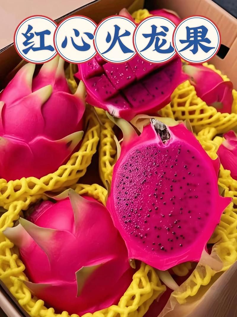 紅龍超血和辣椒哪個(gè)更營養(yǎng)，“紅龍超血”與“辣椒”的營養(yǎng)成分哪個(gè)更營養(yǎng)