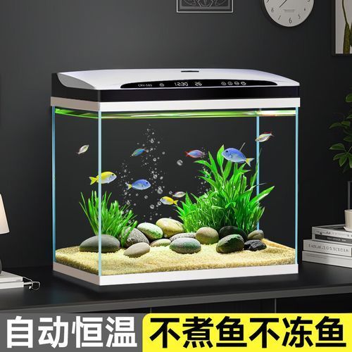 祥龍魚場有哪些口碑好的魚缸？，祥龍魚場口碑好的魚缸與魚缸有哪些口碑好的魚缸