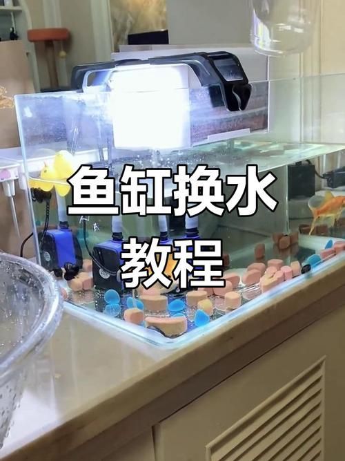 如何預防魚缸細菌感染，如何科學預防魚缸細菌感染