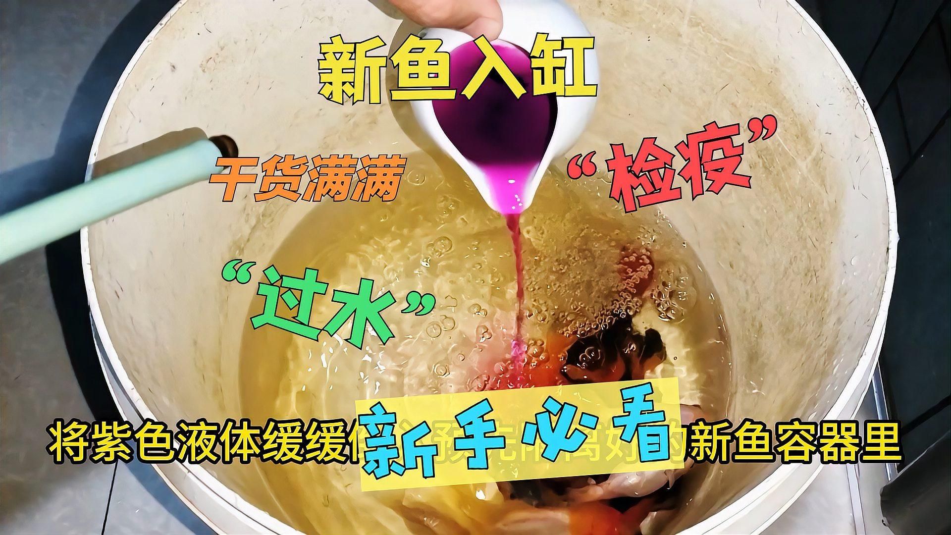 如何預防魚缸細菌感染，如何科學預防魚缸細菌感染