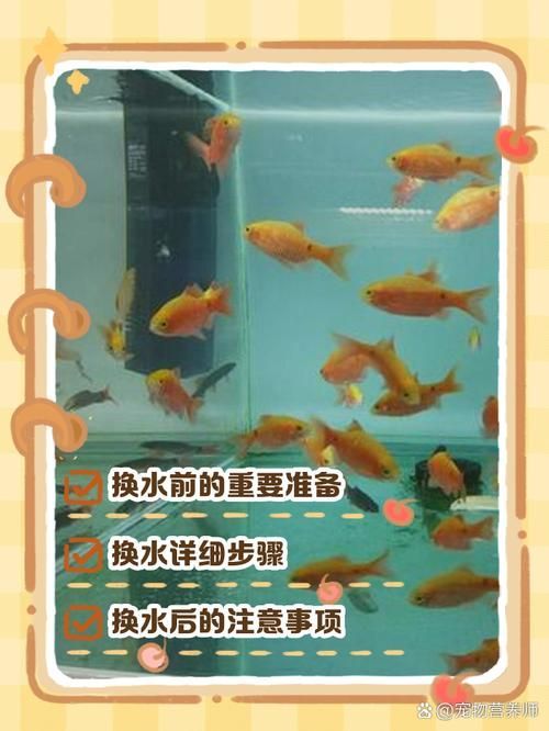 如何預防魚缸細菌感染，如何科學預防魚缸細菌感染