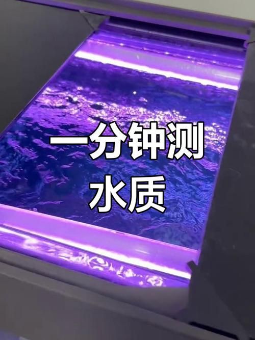如何預防魚缸細菌感染，如何科學預防魚缸細菌感染
