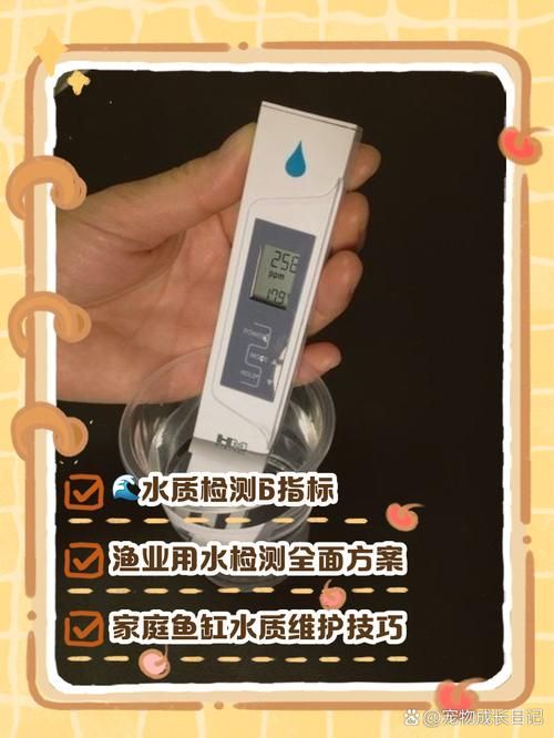 如何預防魚缸細菌感染，如何科學預防魚缸細菌感染
