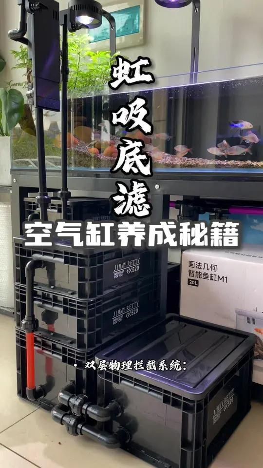 如何選擇適合龍魚的過濾系統，如何選擇一套適合龍魚的過濾系統