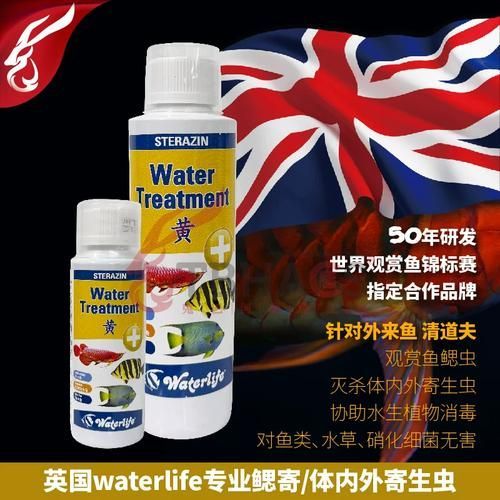 給我一些預防龍魚鰓蓋腐爛的圖片，如何預防龍魚鰓蓋腐爛