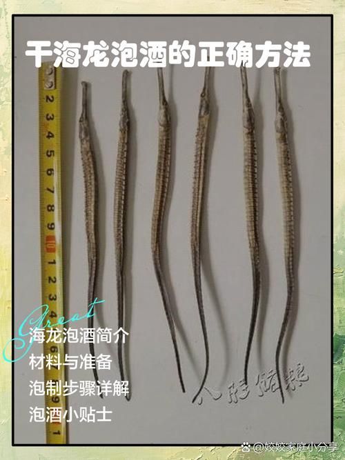 如何區分海龍魚和龍魚？，如何區分海龍魚和龍魚