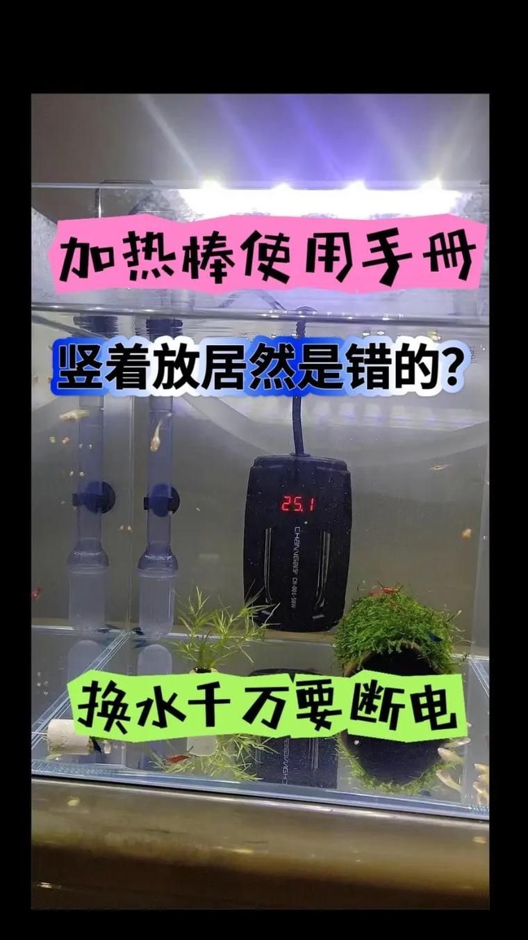 如何調整龍魚缸的水溫到理想范圍？，如何調整龍魚缸的水溫到理想范圍用戶要求詳解如何調整