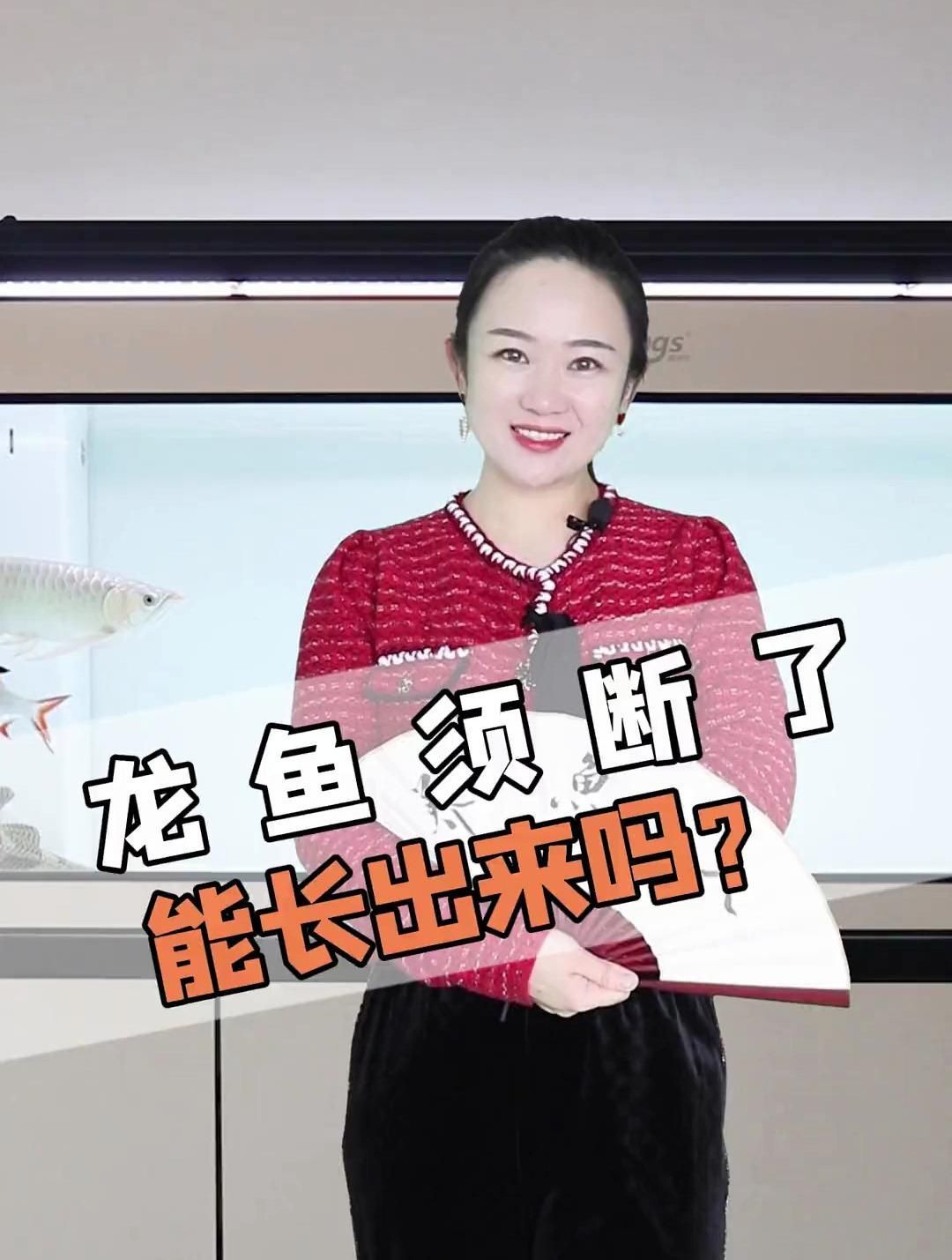 龍魚胡須掉了會(huì)自己長(zhǎng)回來嗎？
