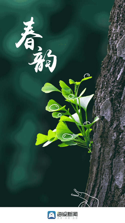 有哪些手機(jī)動(dòng)態(tài)壁紙推薦，手機(jī)動(dòng)態(tài)壁紙推薦