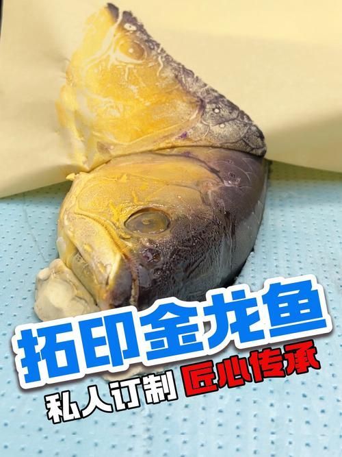 給我推薦幾款50厘米的金龍魚，50厘米的金龍魚適合家庭魚缸中的50厘米的金龍魚