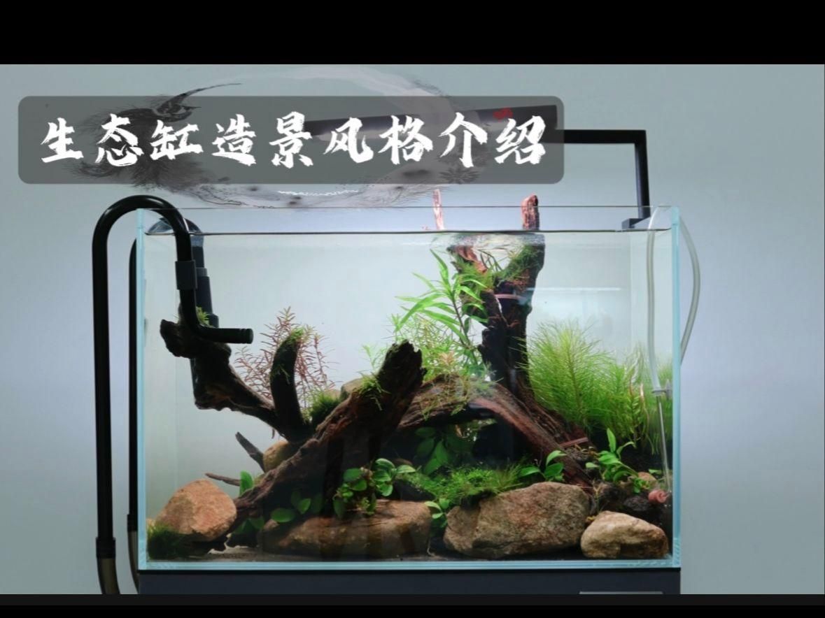 有哪些風格的水族箱適合室內(nèi)飼養(yǎng)，有哪些適合室內(nèi)飼養(yǎng)的水族箱適合室內(nèi)飼養(yǎng)的水族箱推薦