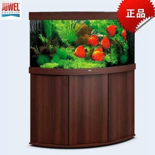 還有哪些世界頂級魚缸品牌，世界頂級水生生物健康品牌