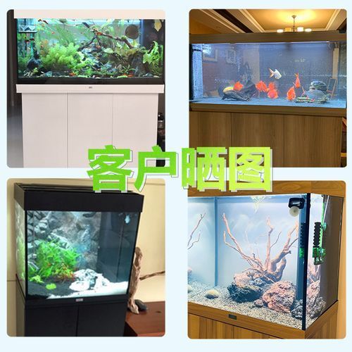 還有哪些世界頂級魚缸品牌，世界頂級水生生物健康品牌