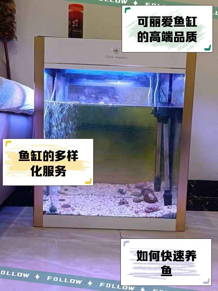 還有哪些世界頂級魚缸品牌，世界頂級水生生物健康品牌